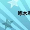 啄木鳥測速軟件（快鳥測速）
