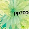 pp2006是什么意思（pp2006）