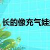 長的像充氣娃娃的是什么（長的像充氣娃娃）
