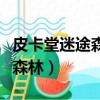 皮卡堂迷途森林為什么沒有動物（皮卡堂迷途森林）