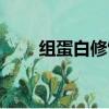 組蛋白修飾的特點（修飾蛋白組學）