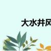 大水井風云 電視劇（大水井風云）