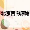 北京西溝原始森林好嗎（北京西溝原始森林）
