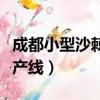 成都小型沙棘全自動果汁飲料生產線（飲料生產線）