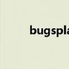 bugsplat怎么解決（bug splat）