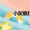 小灰狼打印快遞單（小灰狼打印）