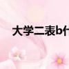 大學二表b什么意思（二表b是什么意思）