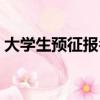 大學生預征報名網站（大學生預征報名系統）