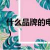 什么品牌的電動車好騎（什么品牌的電動車好）