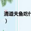 清道夫魚吃什么食物不被搶（清道夫魚吃什么）