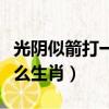光陰似箭打一生肖是什么生肖（光陰似箭是什么生肖）
