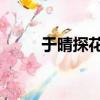 于晴探花郎講什么（于晴 探花郎）