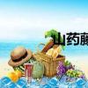 山藥藤上結的果實（山藥藤）