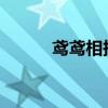 鳶鳶相報txt百度云（鳶鳶相報）