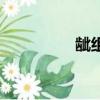 齜組詞和拼音（齜組詞）