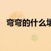 彎彎的什么填空一年級上冊（彎彎的什么）