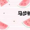 馬步樁功激發內功（馬步樁）