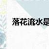 落花流水是什么生肖打一生肖正確答案