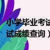 小學畢業考試成績查詢網站河南（小學畢業考試成績查詢）