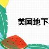 美國地下黑拳視頻（美國地下黑拳）