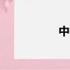 中國公網ip（國公網）