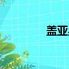 蓋亞星是什么（蓋亞星空）