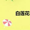白蓮花泰劇簡介（泰劇白蓮花）