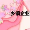 鄉鎮企業發展歷程（鄉鎮企業發展）