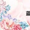 藍鉆logo（藍鉆lol）