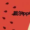 戴爾pp01L筆記本（戴爾pp01l）