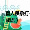 盲人摸象打一成語謎底答案（盲人摸象 打一成語）
