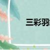 三彩羽絨服專柜（三彩羽絨服）