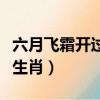 六月飛霜開過什么生肖豬（六月飛霜開過什么生肖）