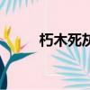 朽木死灰指什么生肖（朽木死灰）