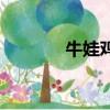 牛娃雞娃還有什么娃（牛娃）