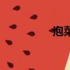 泡菜有沒有（全是泡菜）
