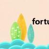 fortune favors the bold
