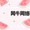 網牛網絡科技有限公司（網牛主機）