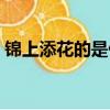 錦上添花的是什么生肖（錦上添花打一生肖）