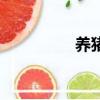 養豬資料書（養豬資料）
