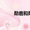 勛鹿和勛興哪一對更真（勛鹿h）