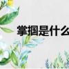 掌摑是什么意思?掌（掌摑是什么意思）