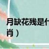 月缺花殘是什么生肖數字（月缺花殘是什么生肖）