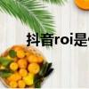 抖音roi是什么意思（roi是什么意思）