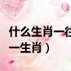 什么生肖一往無前大無畏（一往無前大無畏打一生肖）