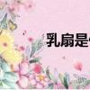 乳扇是什么味道（乳扇是什么）