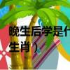 晚生后學是什么意思打一生肖（后生晚輩打一生肖）