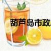 葫蘆島市政府網下載（葫蘆島市政府網）