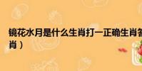 鏡花水月是什么生肖打一正確生肖答案(鏡花水月是什么生肖)