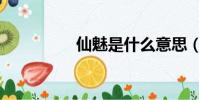 仙魅是什么意思(仙魅)